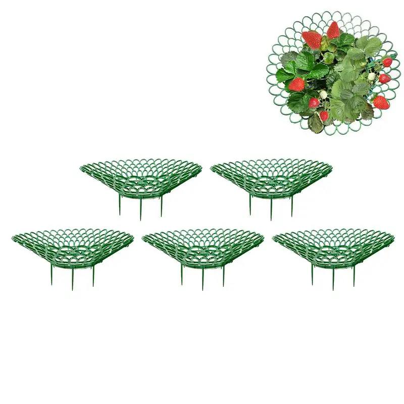 

Strawberry Plant Support Strawberry Growing Racks Protector Frame Horticultural Tool Planting Rack Garden Tools to Protect Vines