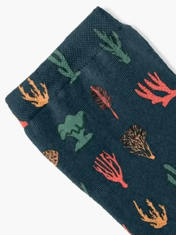 Collection Of Corals For Aquarists And Marine Biology Gift Socks new year anime Socks Ladies Men's