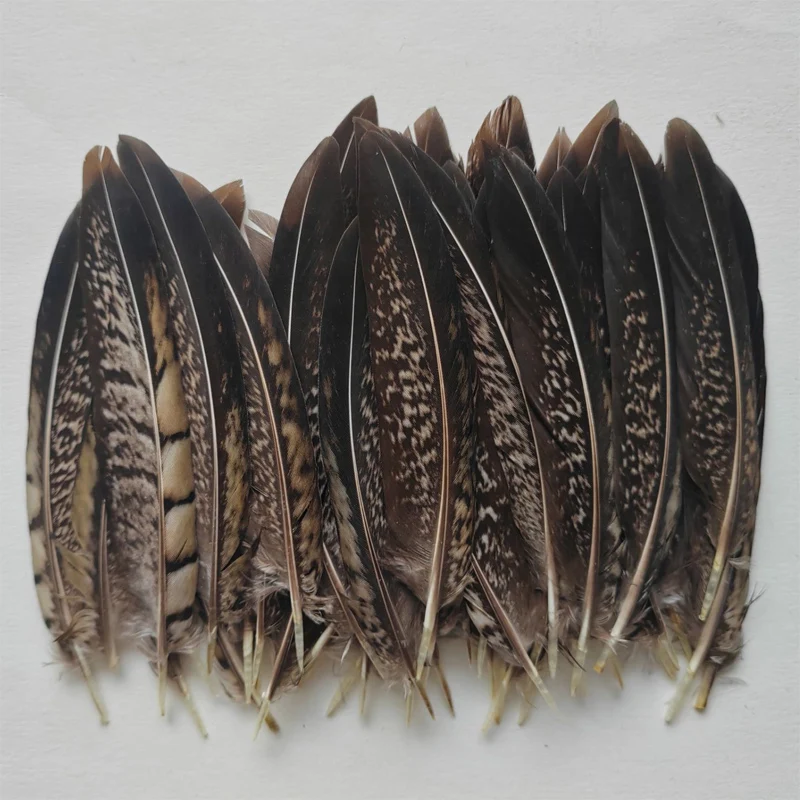 20/50Pcs/Lot  4-6inches 10-15cm Nature LADY AMHERST PHEASANT Tail Feathers Loose Quills for Carnival/Crafts/Plume Decoration