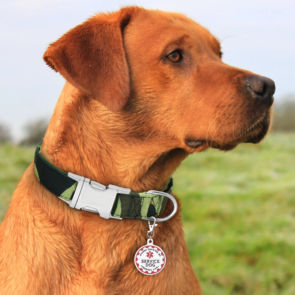 Service Dog Tag Red Medical Alert Symbol Pendent Metal Pet Collar ESA Tags for Large Small Dogs Collar Decoration Accessories