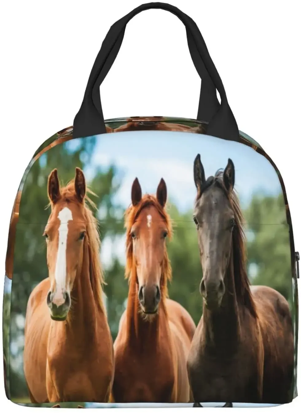 Horses Lunch Box Insulated Lunch Bags for Kids Boys Girls Reusable Lunch Tote Bags, Perfect for School Camping Hiking Picnic