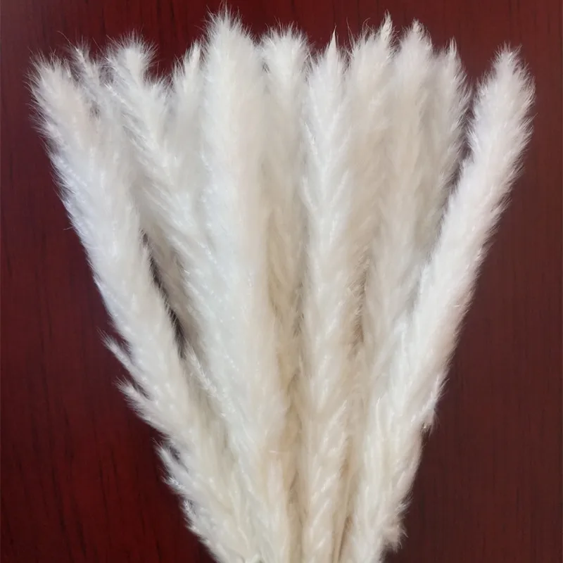 

Natural Small Pampas Grass Dried Flowers for Restaurant , bedroom , office , shop decoration and shooting props 15Pcs /Lot