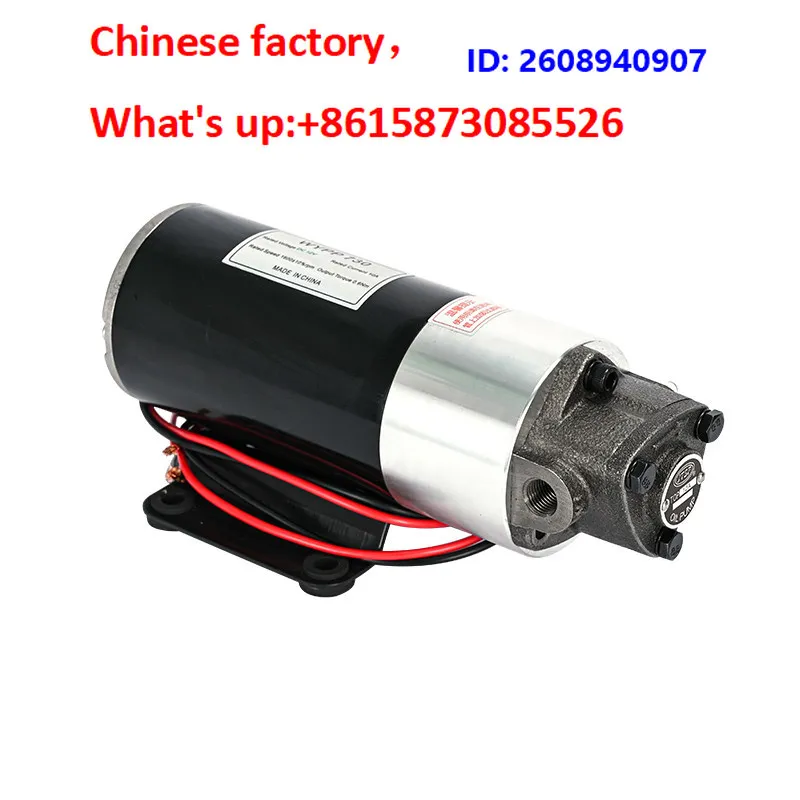 Electric fuel pump 12V/24V/220V DC gear pump triangle pump motor
