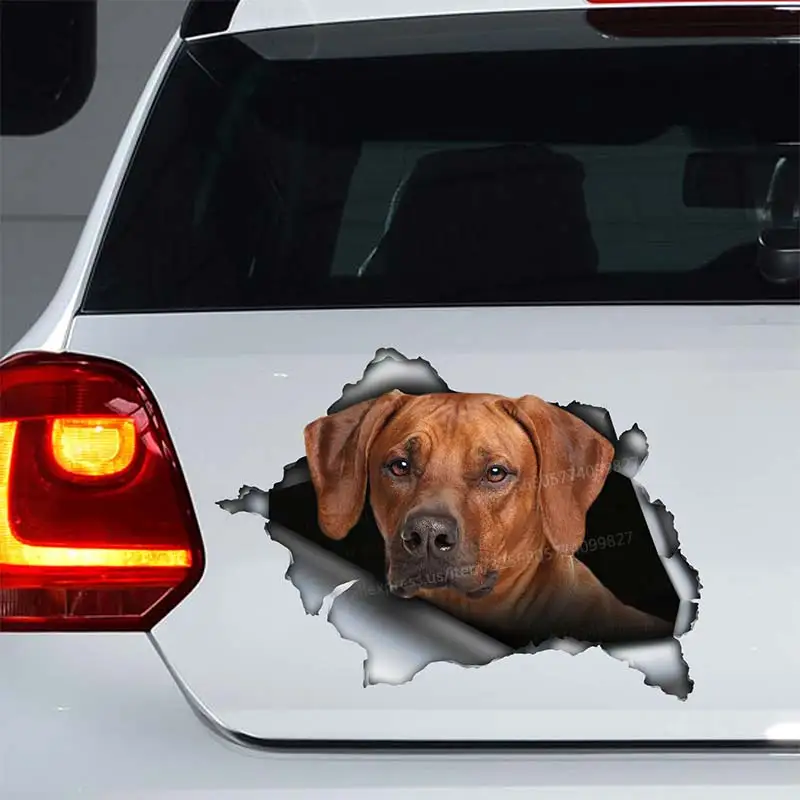 Rhodesian ridgeback Car Sticker Waterproof Vinyl Decal Bumper Rear Window Laptop Self-adhesive Decal For Car Accessories SH292