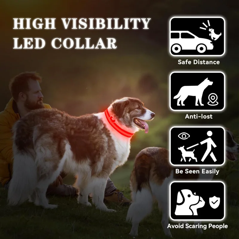 LED Dog Collar Rechargeable Waterproof Reflective Light Up for Night Walking USB Charging Small Medium Large Dogs Medium Red