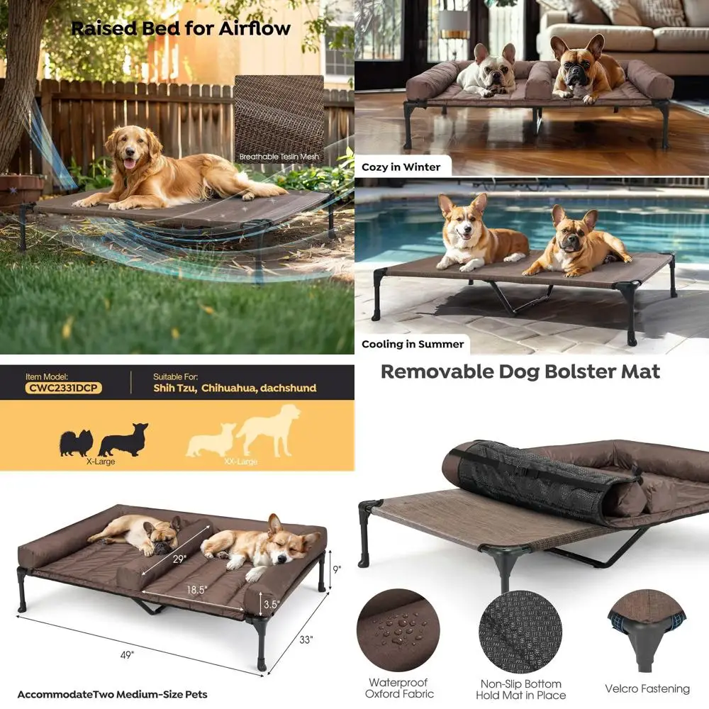 Cooling Raised Dog …