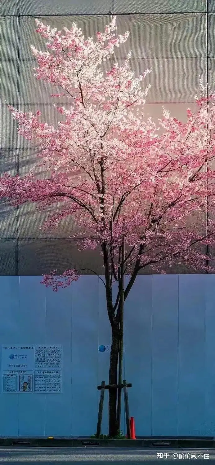 For Mjx Hyper Go 14… - image