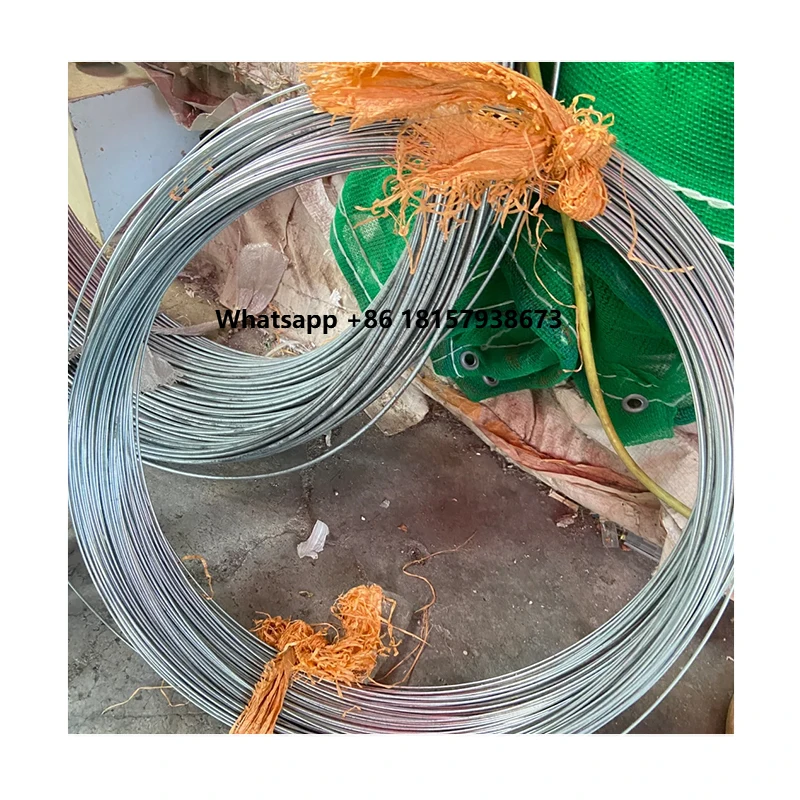 

65Mn 70# Raw Material for Nail Making Sae1006 Sae1008 Steel Wire Rods Price Nail Wire rod