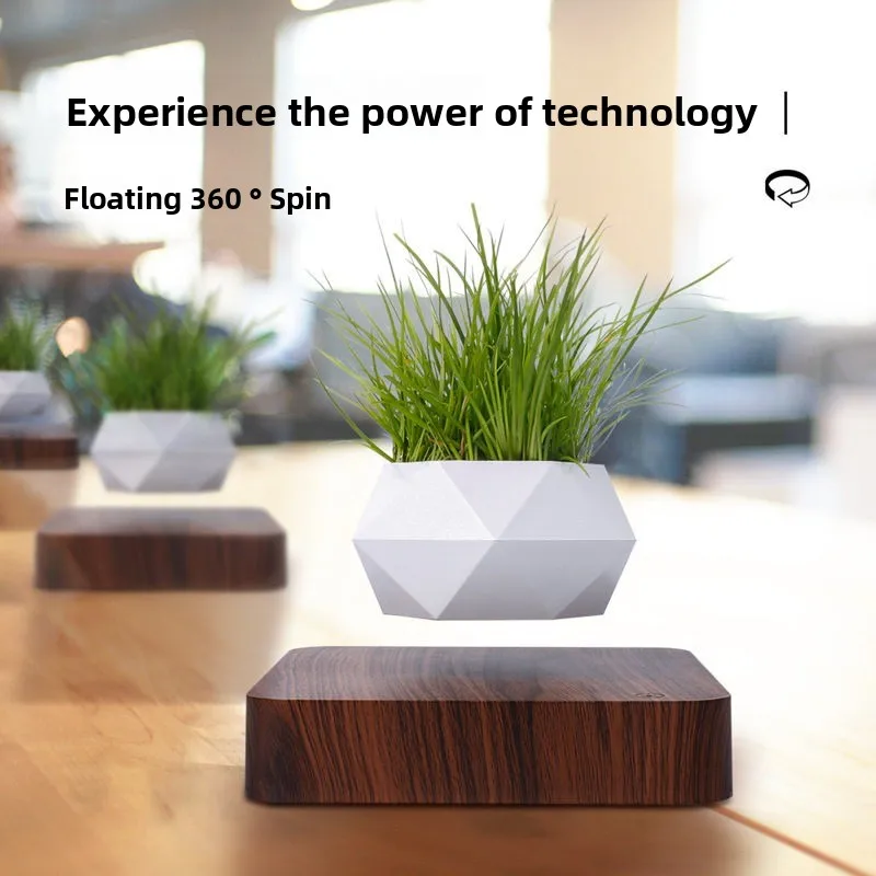 

Magnetic Levitation Flower Pot Wood Carving Trendy Living Room Decor Creative Bulb Gift