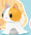 calico cat