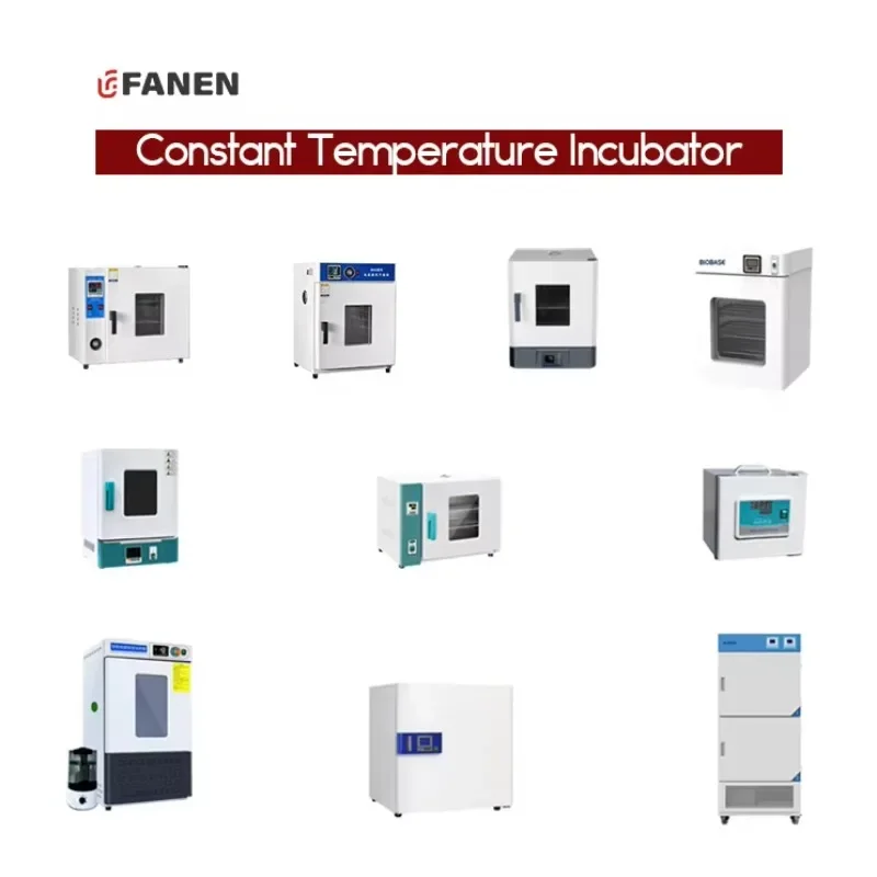 

2026 Hot Selling Hot Sale Fanen Flipping Automatic Chicken Hatching for 6