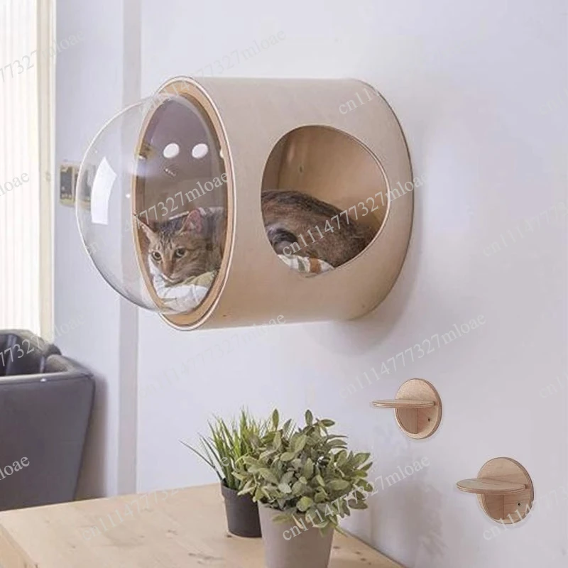 Nouveau nid mural pour chat en forme de capsule spatiale – Économique et mignon pour un espace libre pour votre animal de compagnie