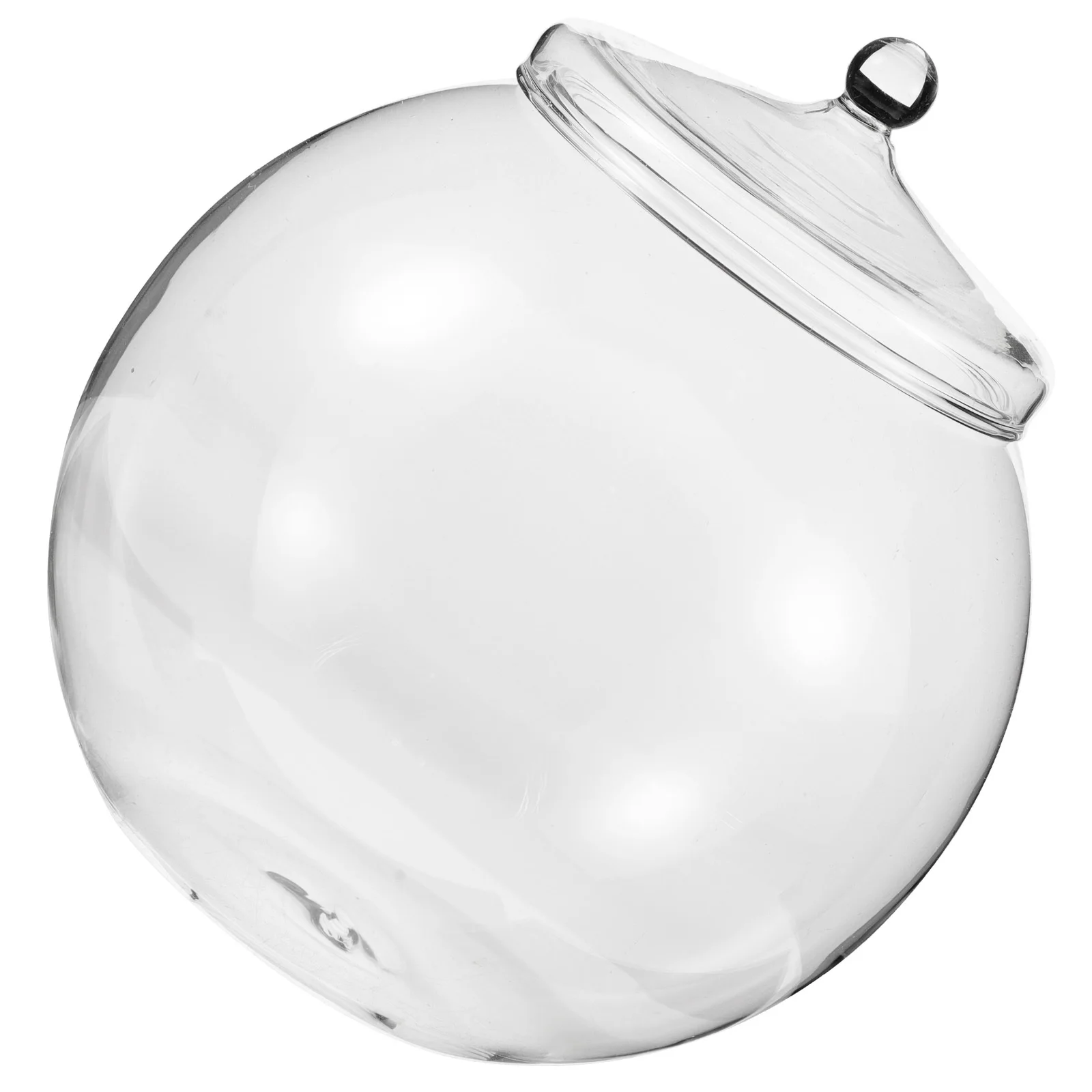 

Transparent Glass Terrarium DIY Micro Landscape Bottle Home Decor Easy Clean Strong Durable 120ml Empty Terrarium