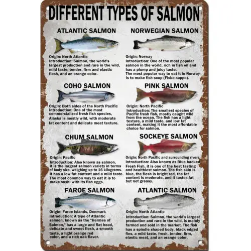 Retro Tin Signs Types of Salmon Vintage Metal Signs Poster for Pub Wall Decor