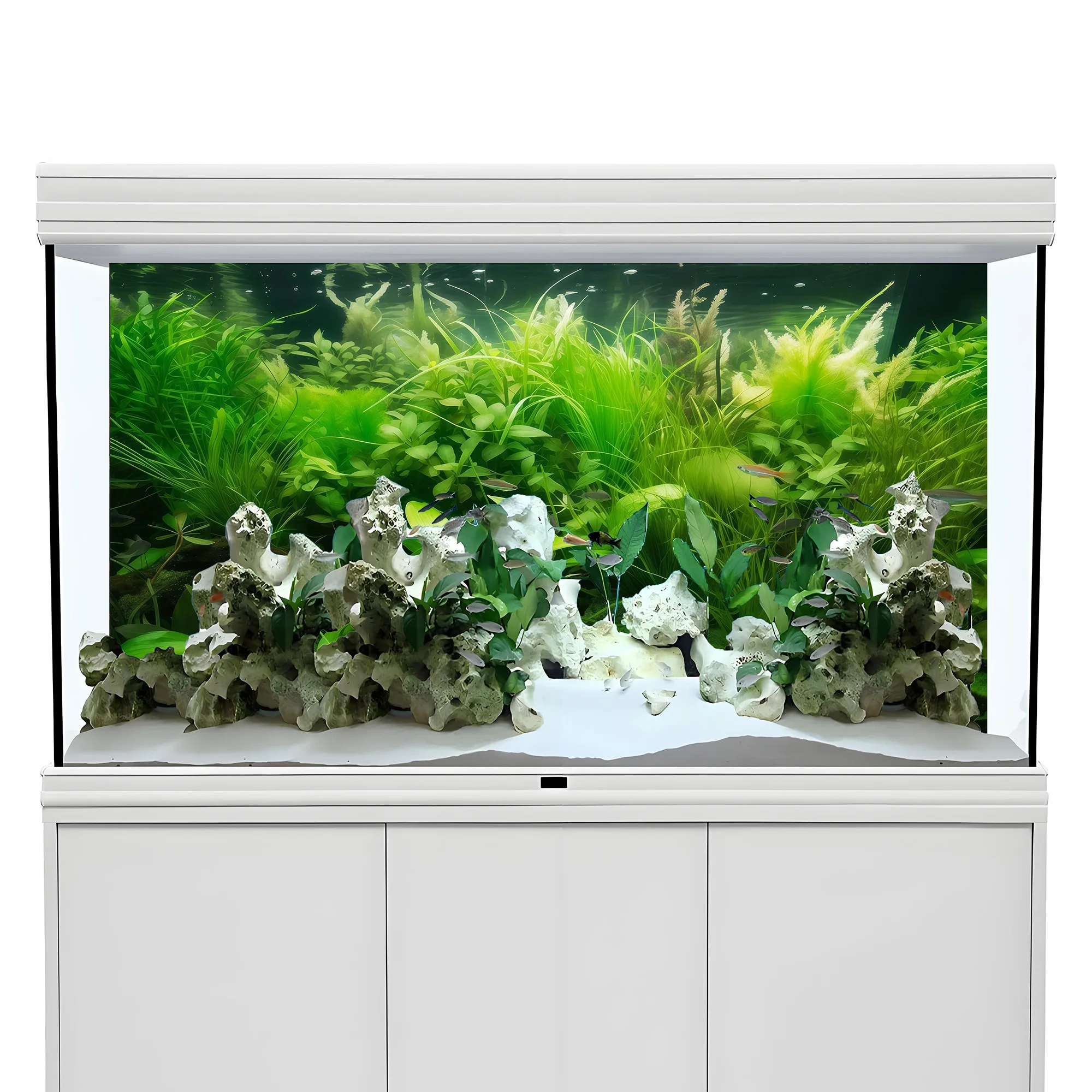 Water Grass Paradise, achtergr - Aquarium Fish Paradise recensie en prijs