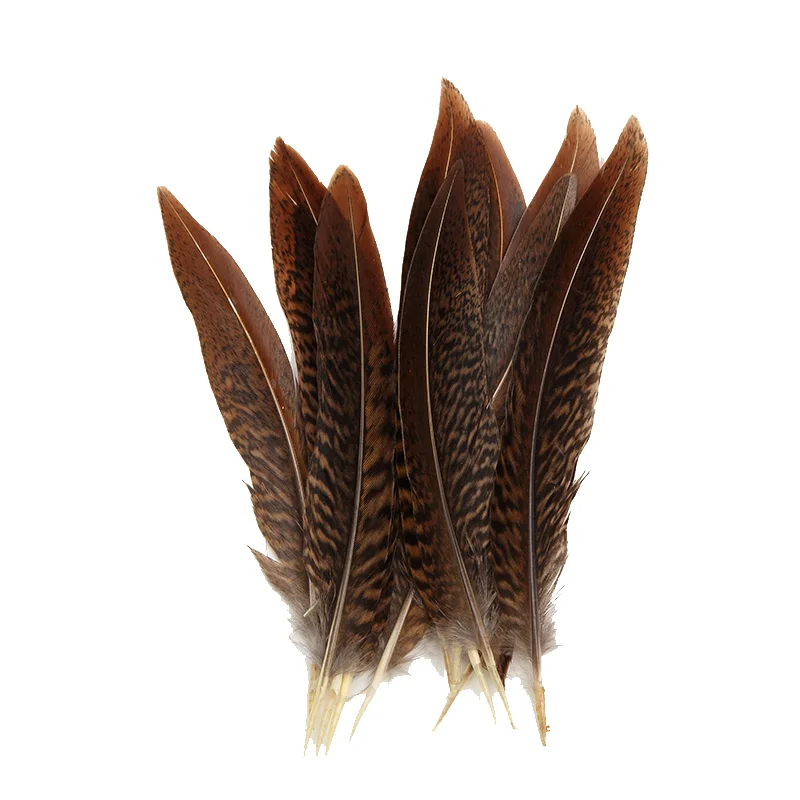 10Pcs Natural Golden Pheasant Tail Feathers,Red Tipped Golden Pheasant Feathers,Red Craft Feathers for Masks Jewelry Making