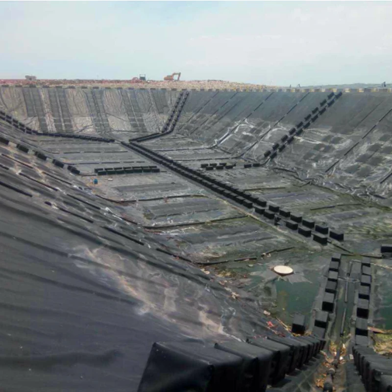 Custom HDPE Geomembrane Sheet for Reservoir Fish Pond Wastewater Landfill Mining and Environmental Projects Worldwide