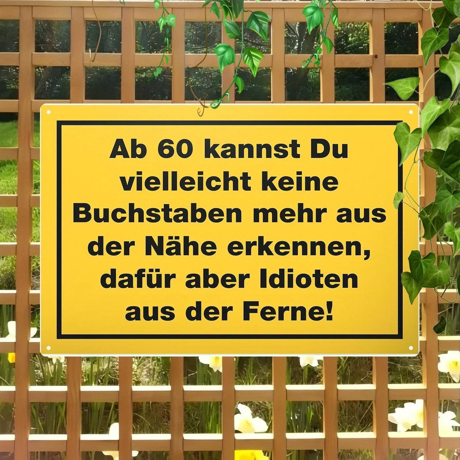 Wall Plaque with German Humorous 60th Birthday Quote European Style Metal Sign, Funny Gift for 60th Birthday Party Decoration