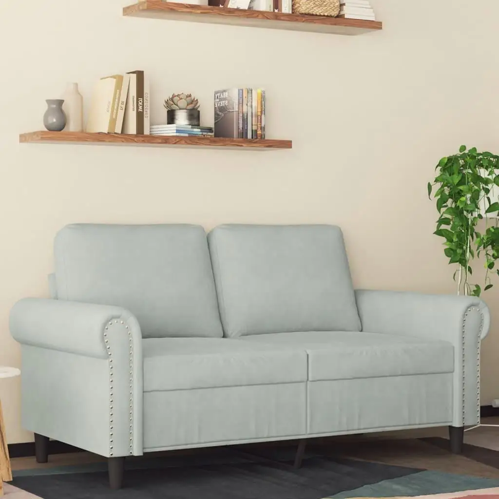 Light Gray Velvet 2-Seater Sofa - Cozy Modern Couch for Living Room, 47.2 inches