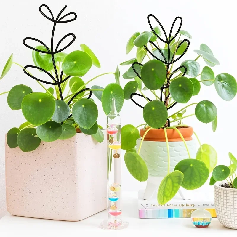 3 szt. Ramy podtrzymujące do r – Sphagnum Moss Dry recenzja i cena