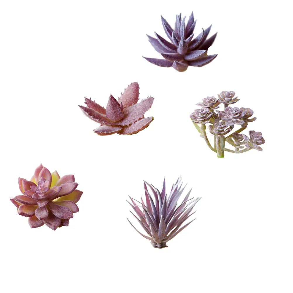 5 قطعة رأس زهرة عصارية محاكاة إبداعية نابض بالحياة رف سطح المكتب الأخضر ديكور زهرة اصطناعية متدفقة #4