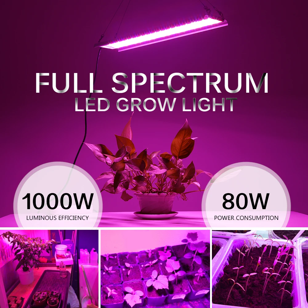 Imagem -02 - Led Crescer Espectro Completo de Luz Ac85265v 80w Phytolamp à Prova Impermeável Água Crescente Lâmpada para Plantas de Interior Estufa Tenda Seedings 1000w