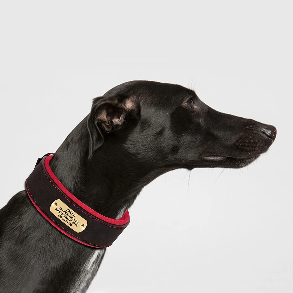 Personalisiertes breites Hundehalsband aus PU-Leder, individuelle Hundehalsbänder, gepolstertes Haustierhalsband für kleine, mittelgroße und große Hunde, Pitbull Buldog – Detail 11