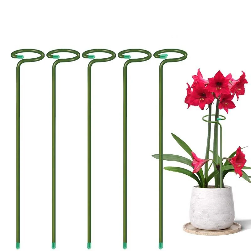 1-10pcs Metal Single Stem Plant Shrub Holder Garden Support Stake Ring Rose Flowers Vegetables Vine Home Gardening Tool - view 2