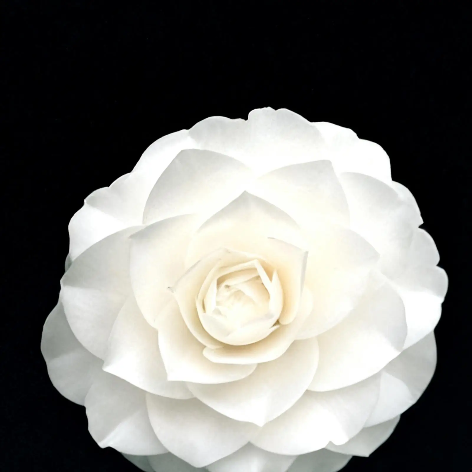 صندوق الأمان السري، حاوية إخفاء المال المحمولة مع قفل مجمع لتصميم الكتب الصناعية لخبأ الأشياء الثمينة للمجوهرات النقدية