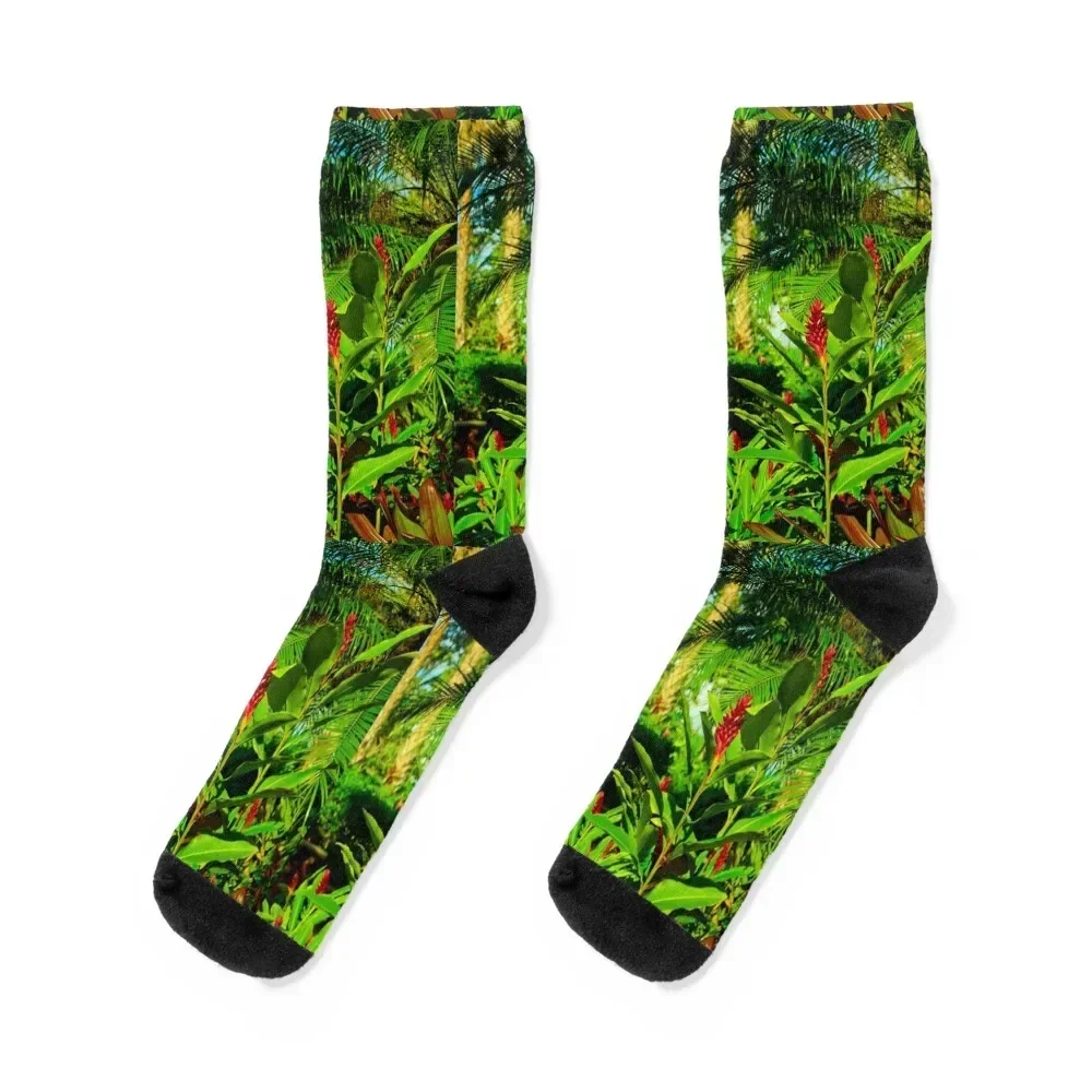 

Exotic Ginger Socks short aesthetic sports and leisure heated Ladies Socks Men's