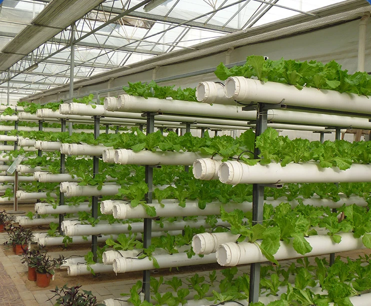 Hydroponic rack vertical pipeline hydroponic equipment factory leafy vegetable greenhouse planting vegetables soilless