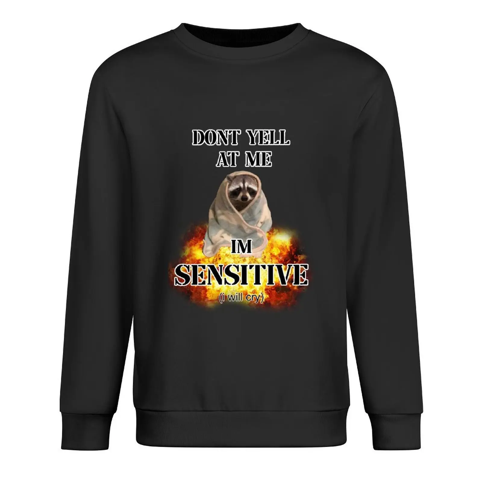 

dont yell at me im sensitive (i will cry) Pullover male clothes anime clothing autumn men clothes hooded sweatshirts