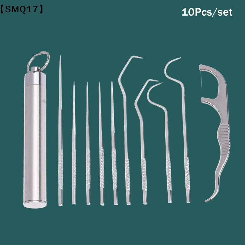 Reusable Food Grade Stainless Steel Toothpick Set Portable Smooth Metal Toothpicks with Floss for Picnic Hiking Travel