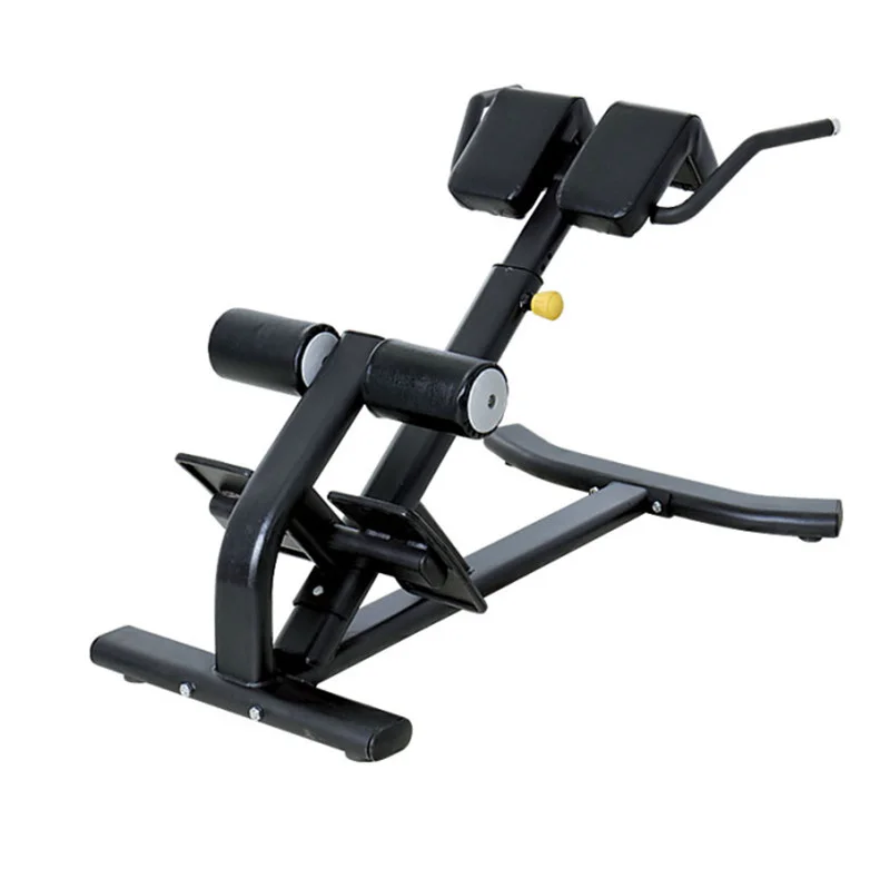 

High-quality fitness equipment Roman Chair Reverse hyper extension Lower Back Exercise Benches 45 Degree Back Extension