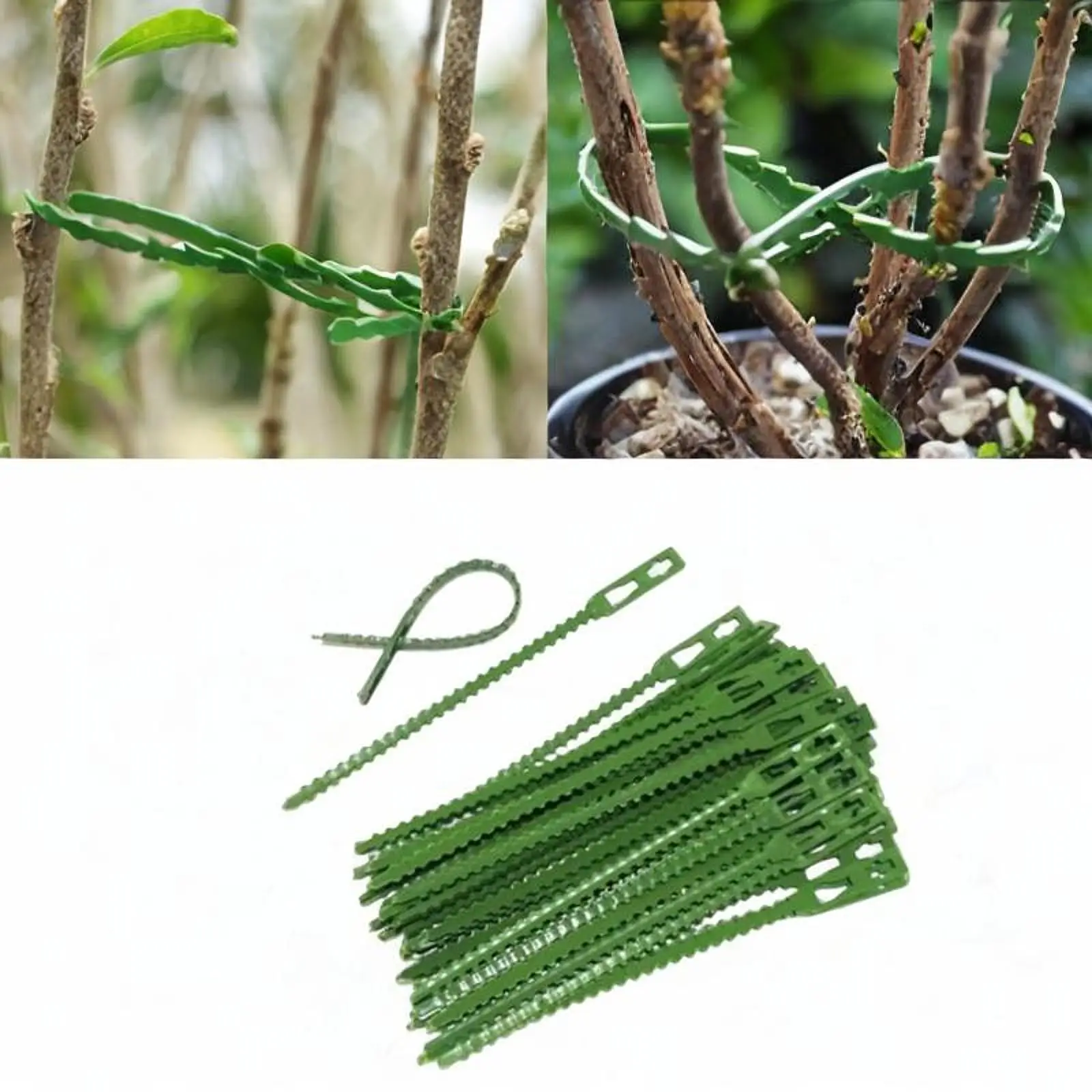 Pack de 50 bridas ajustables para plantas, bridas flexibles y multiusos, soporte