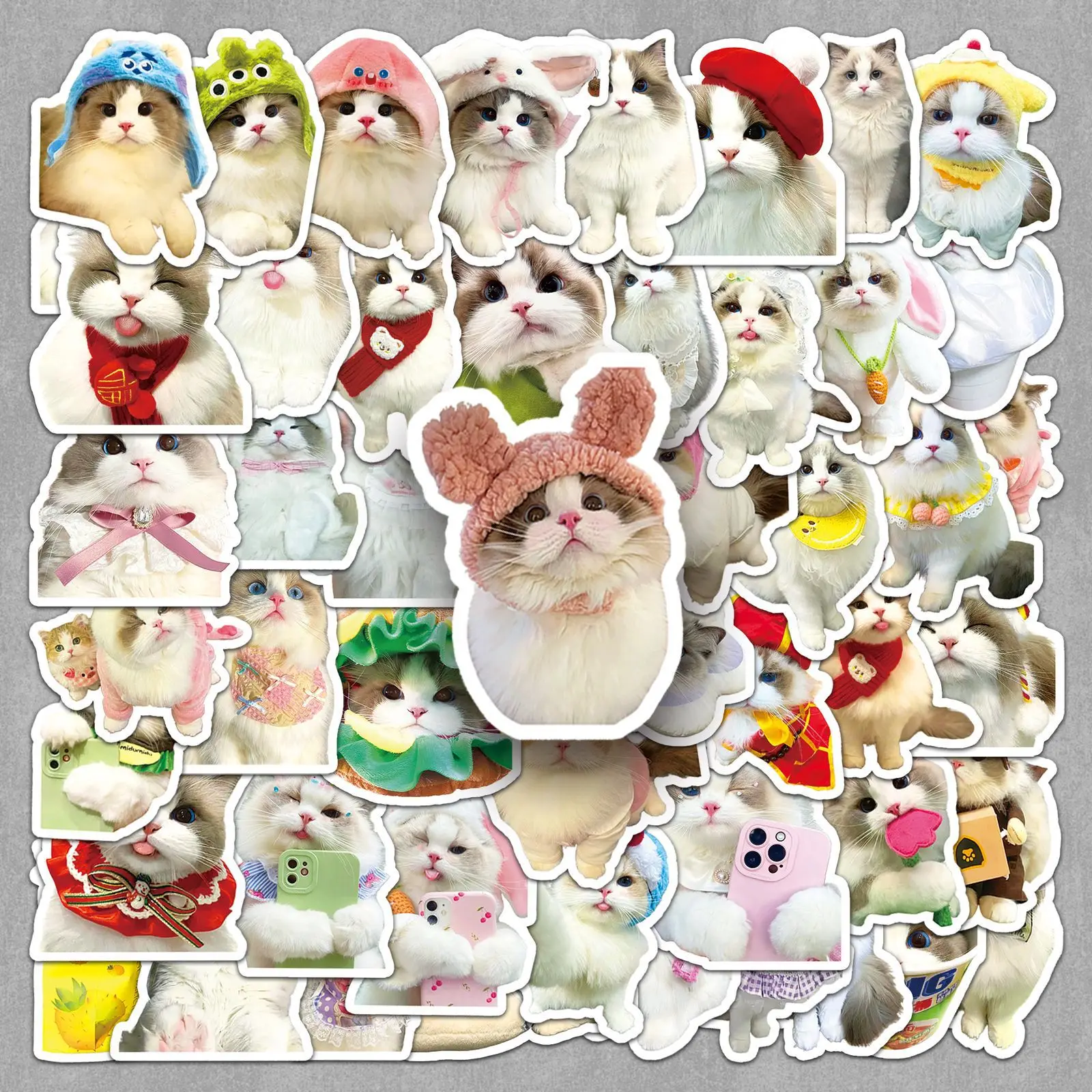 

50PCS Ragdoll Cat Cartoon Cute Cat Cute Pet Animal Decorative Guitar Laptop Mobile Phone Case iPad Waterproof Sticker Kids Toy