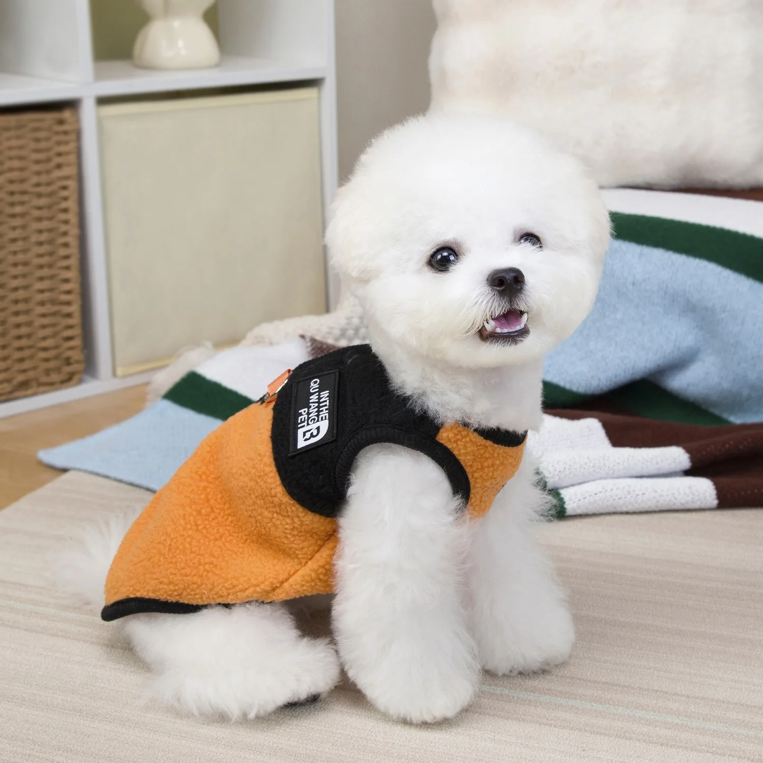 Lambswool Pet Vest Small Dogs Winter Warmth Clothes Teddy Letter Print Button-Down Clothing with  Traction Buckle