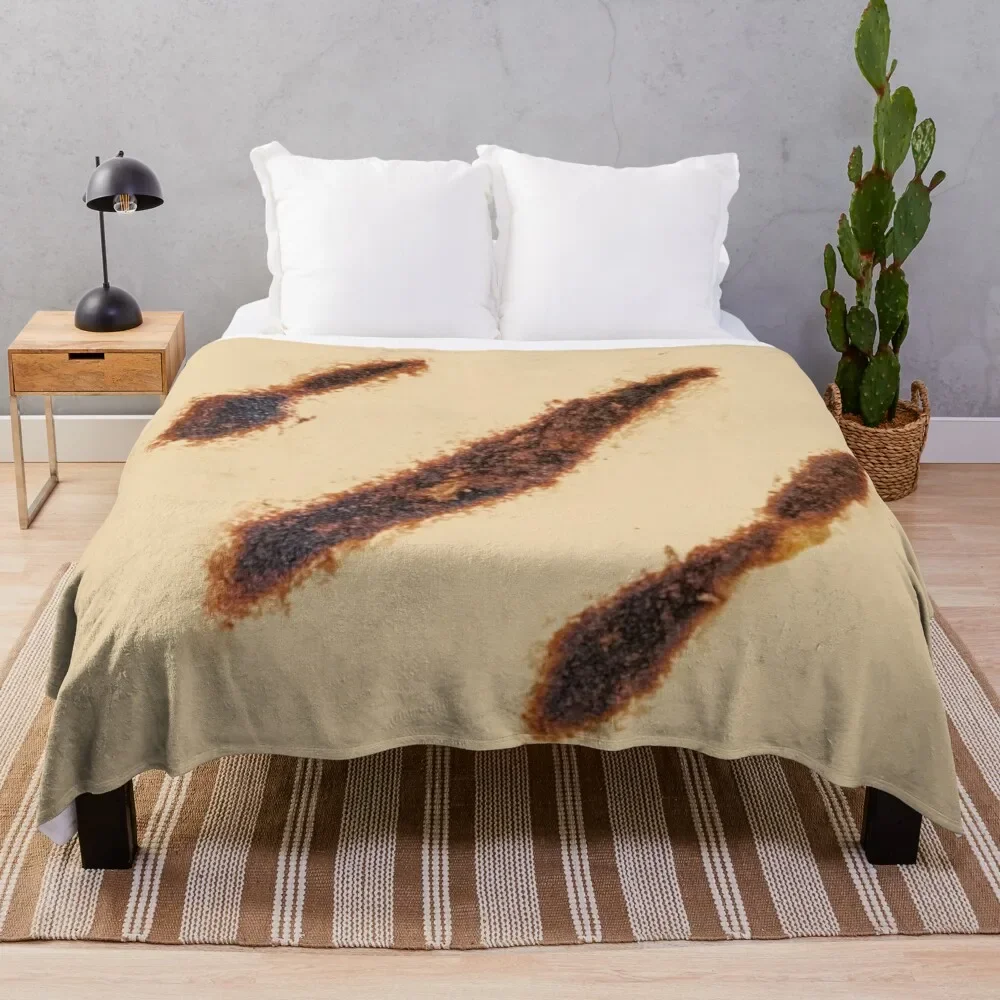 Arepa - Grilled arepa marks Throw Blanket warm for winter Luxury Brand Winter beds Stuffeds Blankets