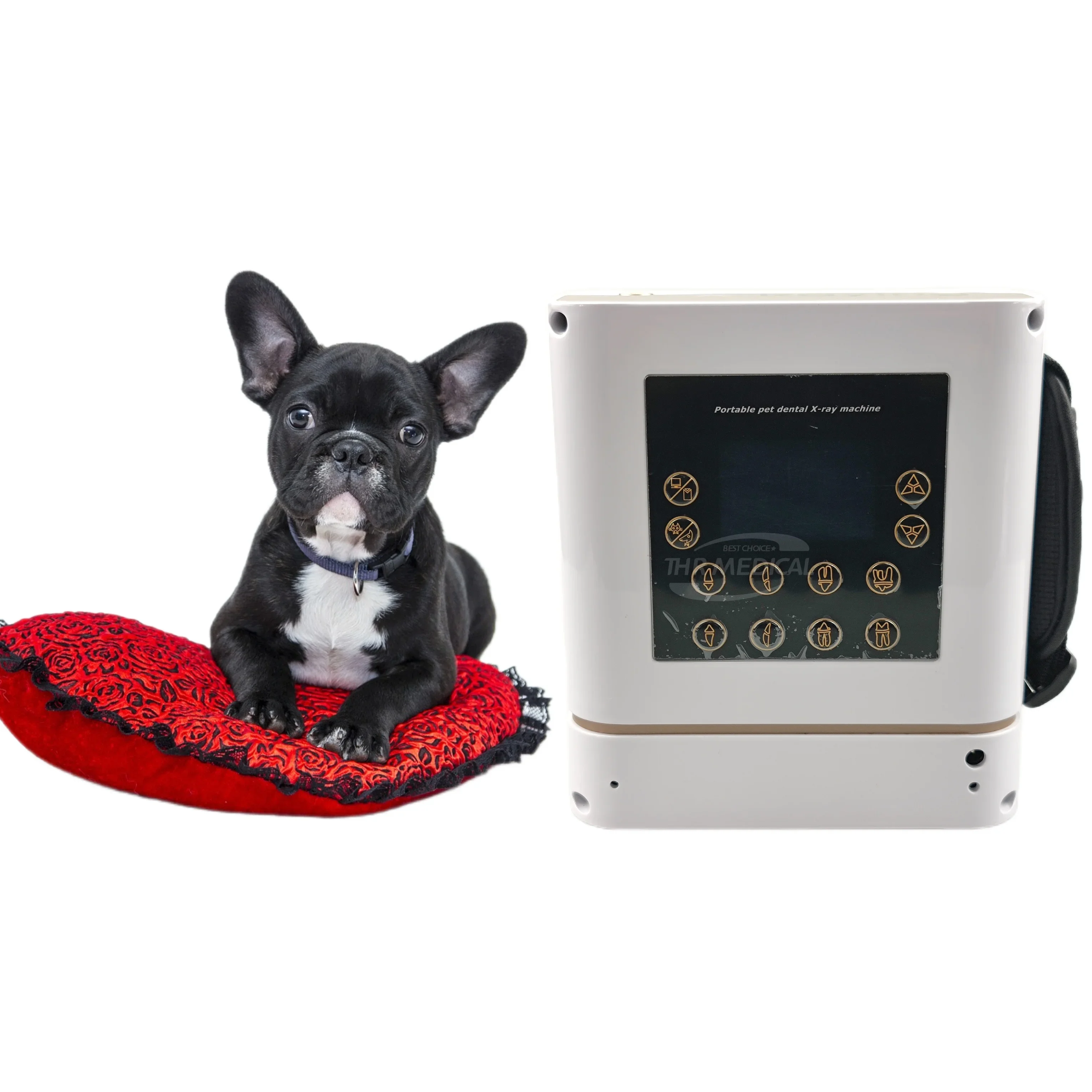 

THR-XR-D02 Ветеринарное оборудование Цифровой медицинский рентгеновский аппарат нового дизайна