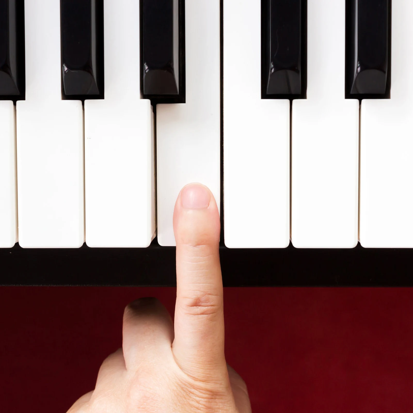 

2 Pcs Piano Parts Supply Key Repair for Top of Keytops Replacement Short Topper