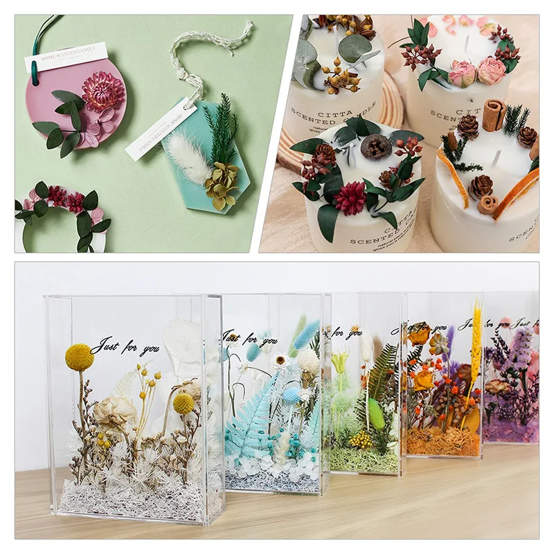 DIY Natural Dried Flower Resin Fillings Real Flower for Home Decoration Nail Art Handicrafts Jewelry Making Resin Crafts