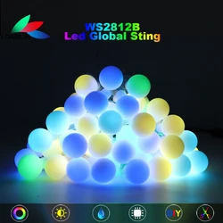 WS2812B Individually Addressable LED Globe String Light Colorful LED Round Ball String Christmas Birthday Party Decoration IP67