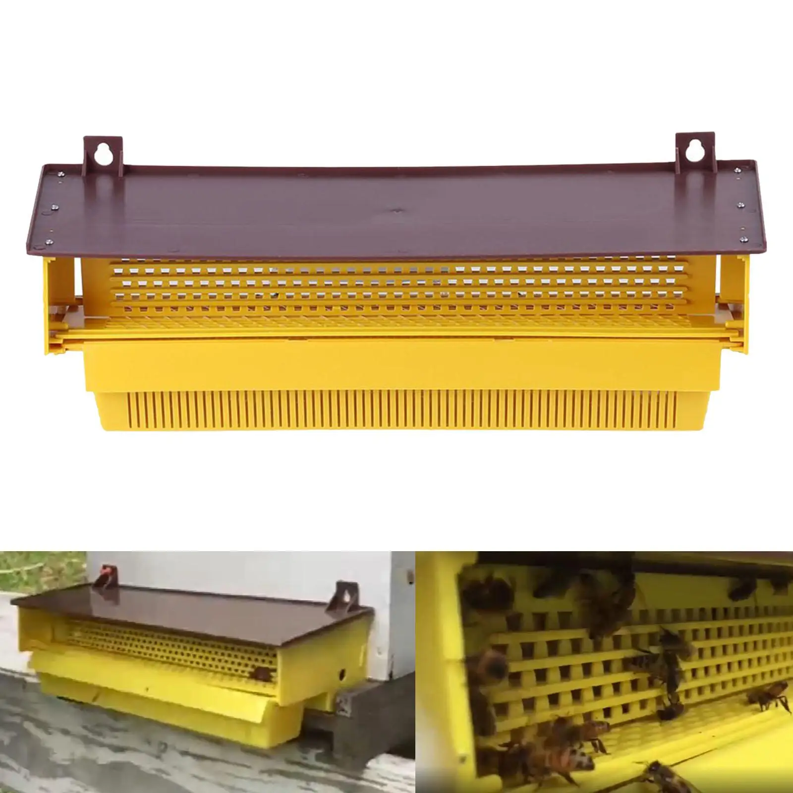 

Beekeeping Pollen Trap Tray Ventilated for Bee Hives Entrance Professional