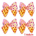 PE5046CT