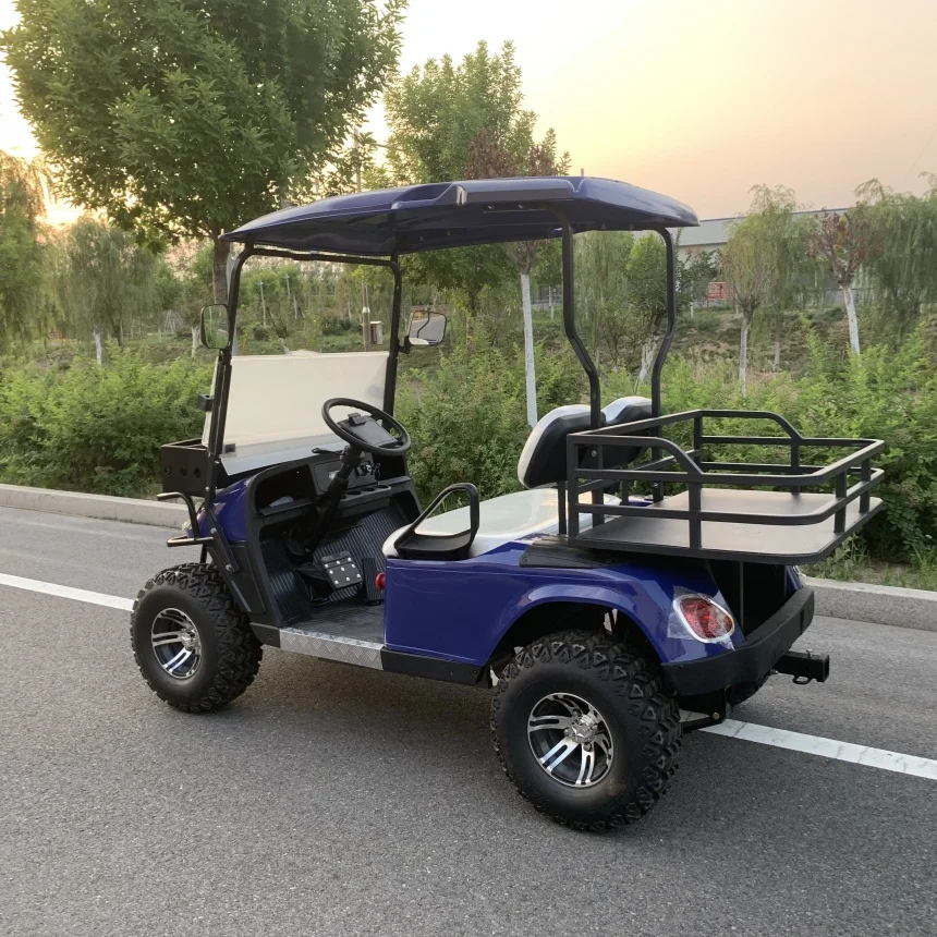 Electric Golf Cart Hot Sale Customized 2 Seat Club VIP Modern Fashion Adult Electric Car Free Customized Color Golf Scooter