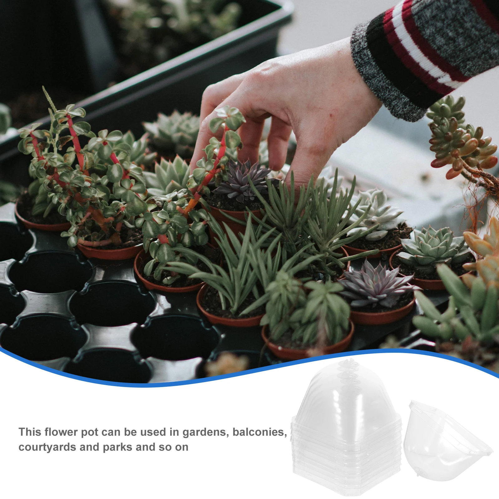 

10pcs Flower Pot Seedling Covers 10x10cm Thickened Plant Nursery Cloche Plastic Cover Humidity Dome Gardening Grow Frost