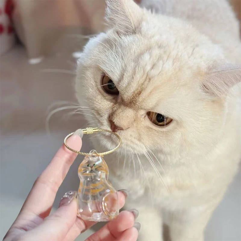 Hanging Cat Keychain Pendant Cat Hair Storage Keychain Box Backpack Cat Bag Pet Cat Hair Keychain Cute Key Ring Pet Souvenirs