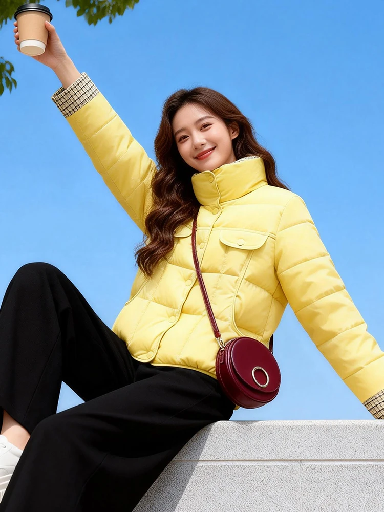 

Утепленная женская зимняя куртка с воротником-стойкой, модная теплая хлопковая куртка в корейском стиле, свободного кроя