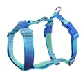 Blue-green gradient
