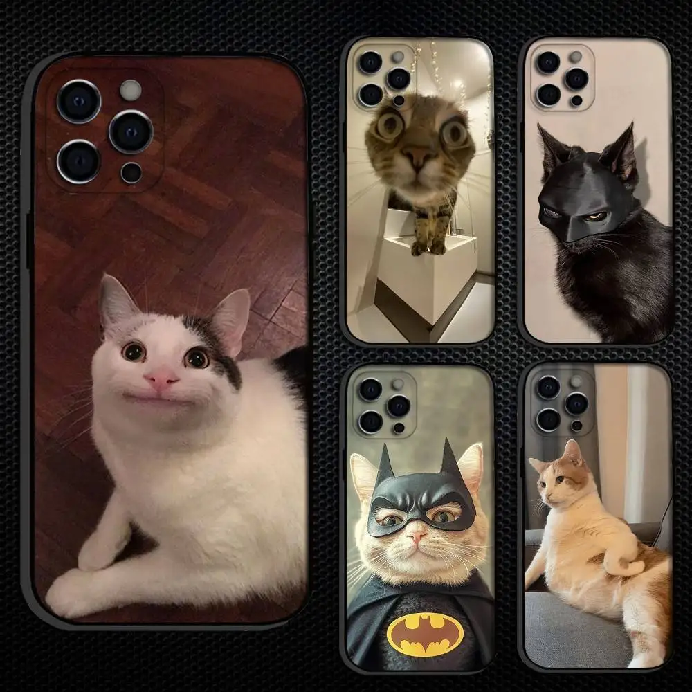 

Funny Of Pet Cats Phone Case For iPhone 16,15,14,13,12,11 Plus,Pro Max, Others Soft Black Cover